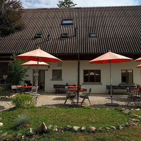 Delemont Youth Hostel Dış mekan fotoğraf